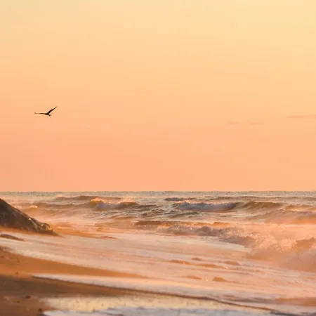 Vandrerhjem Pura Vida Beach *