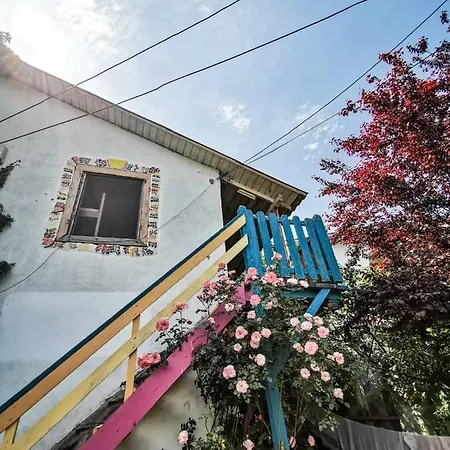 Pura Vida Beach Hostal Vama Veche