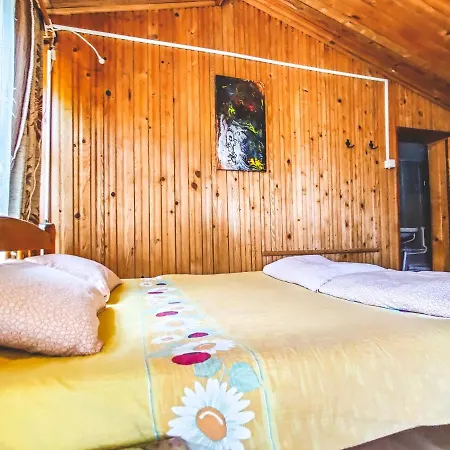 Hostal Pura Vida Beach